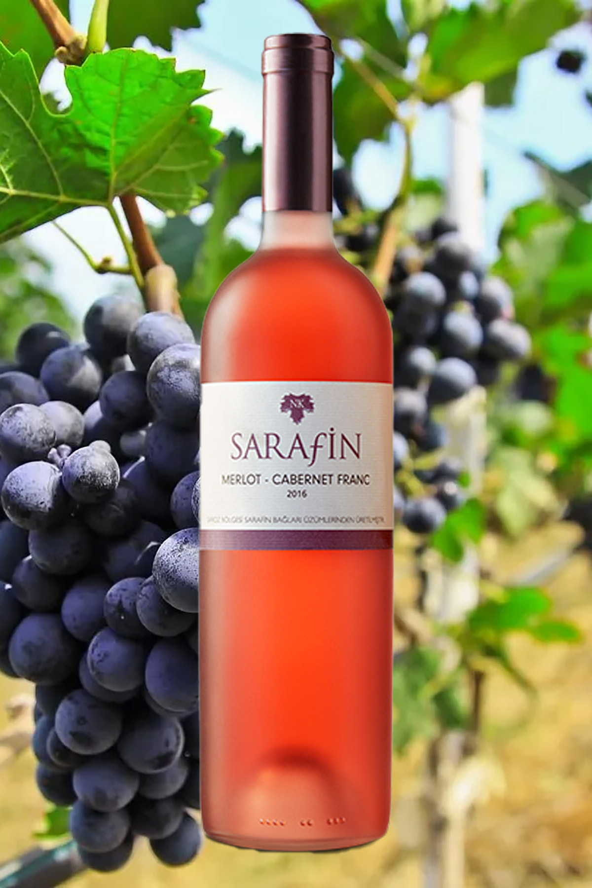 Sarafin Merlot Cabernet Franc 75 CL 1